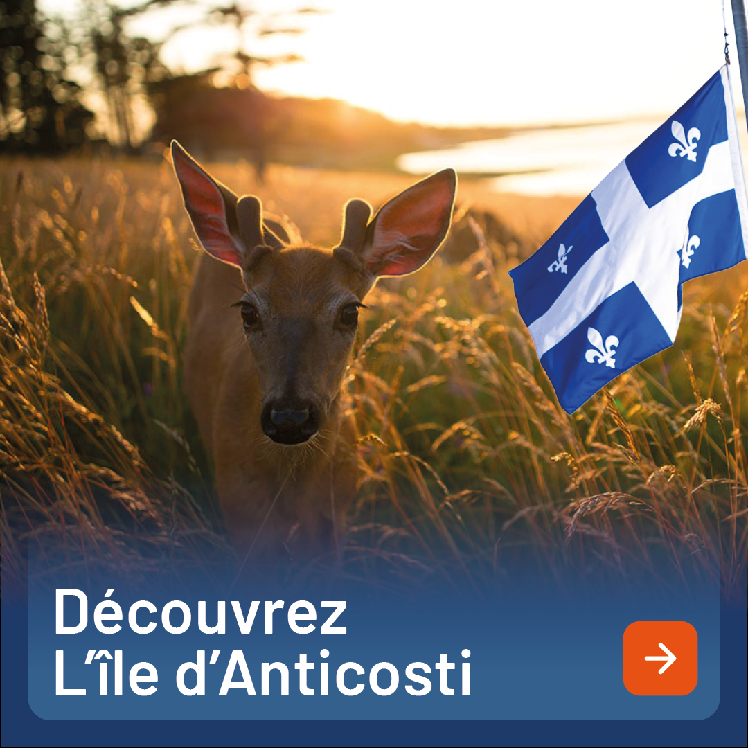 Découvrez Anticosti