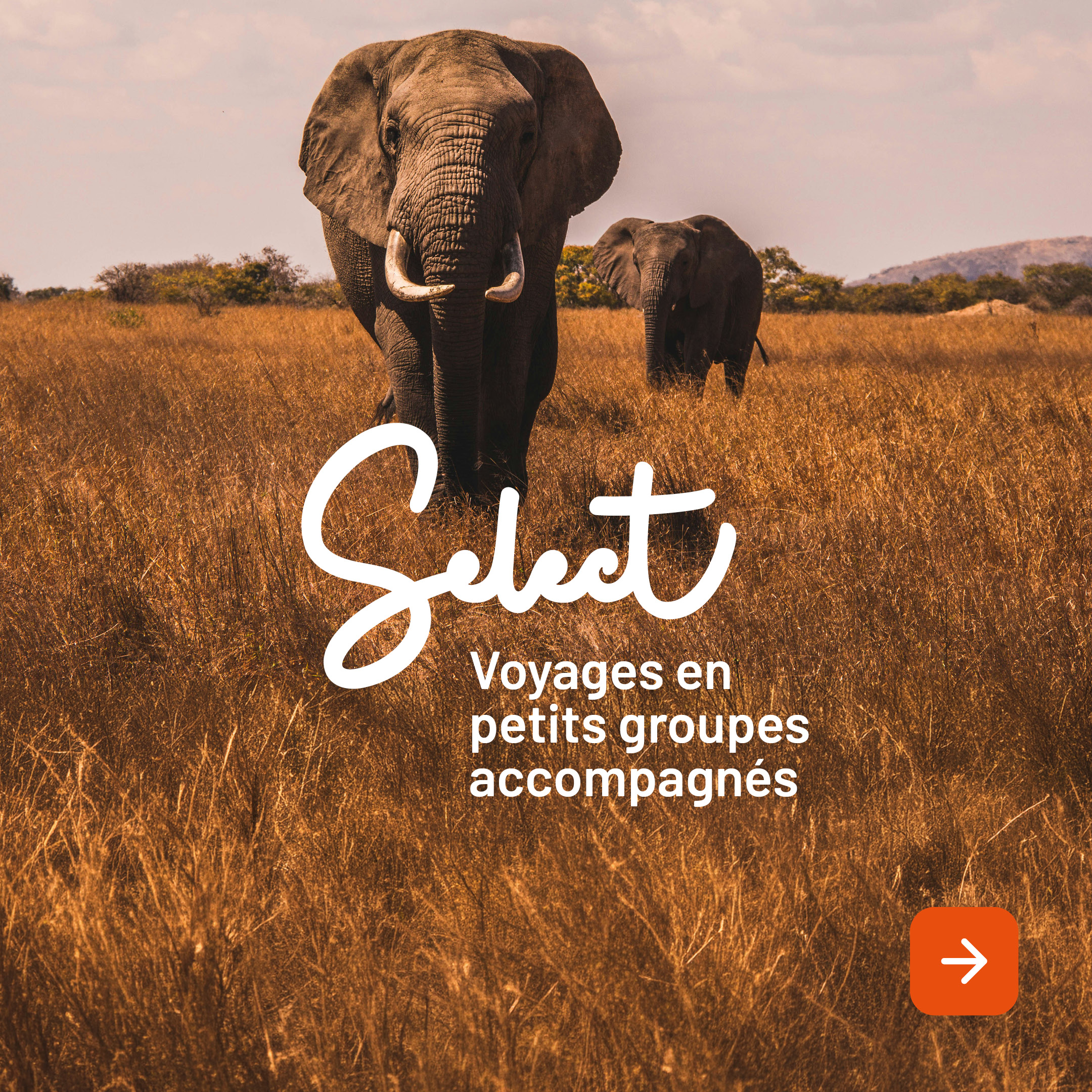 Select - Voyages en petits groupes accompagnés