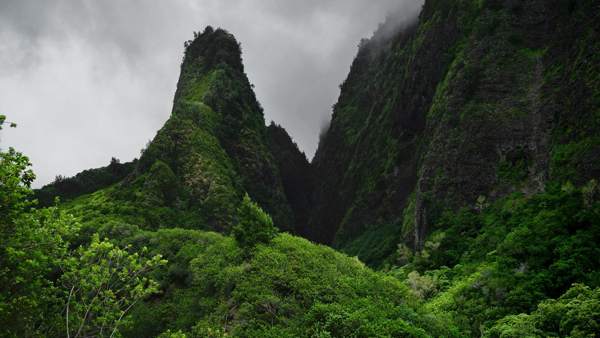 Iao Valley et plantation tropicale 2025