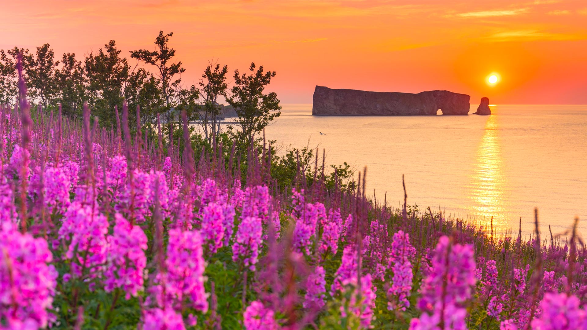 Saveurs de Gaspésie