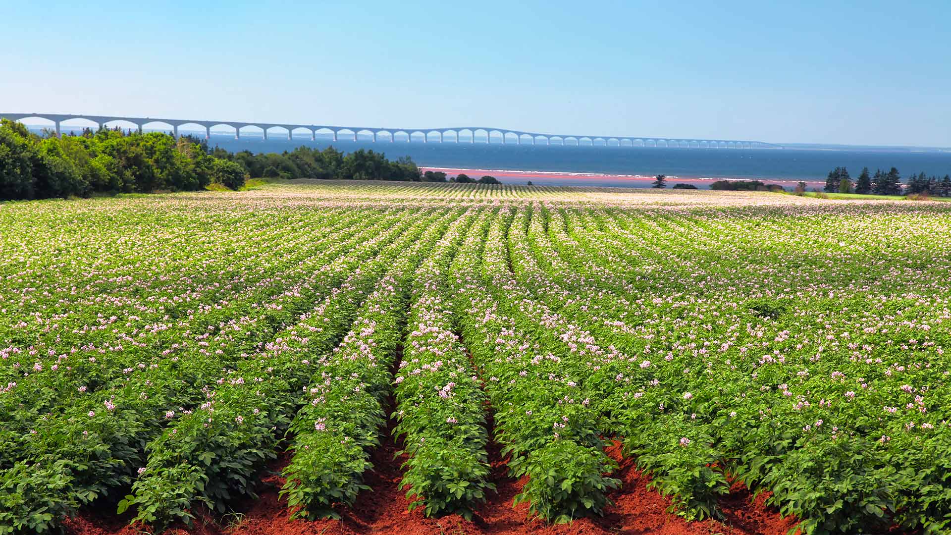 Vent d’été aux Îles de la Madeleine