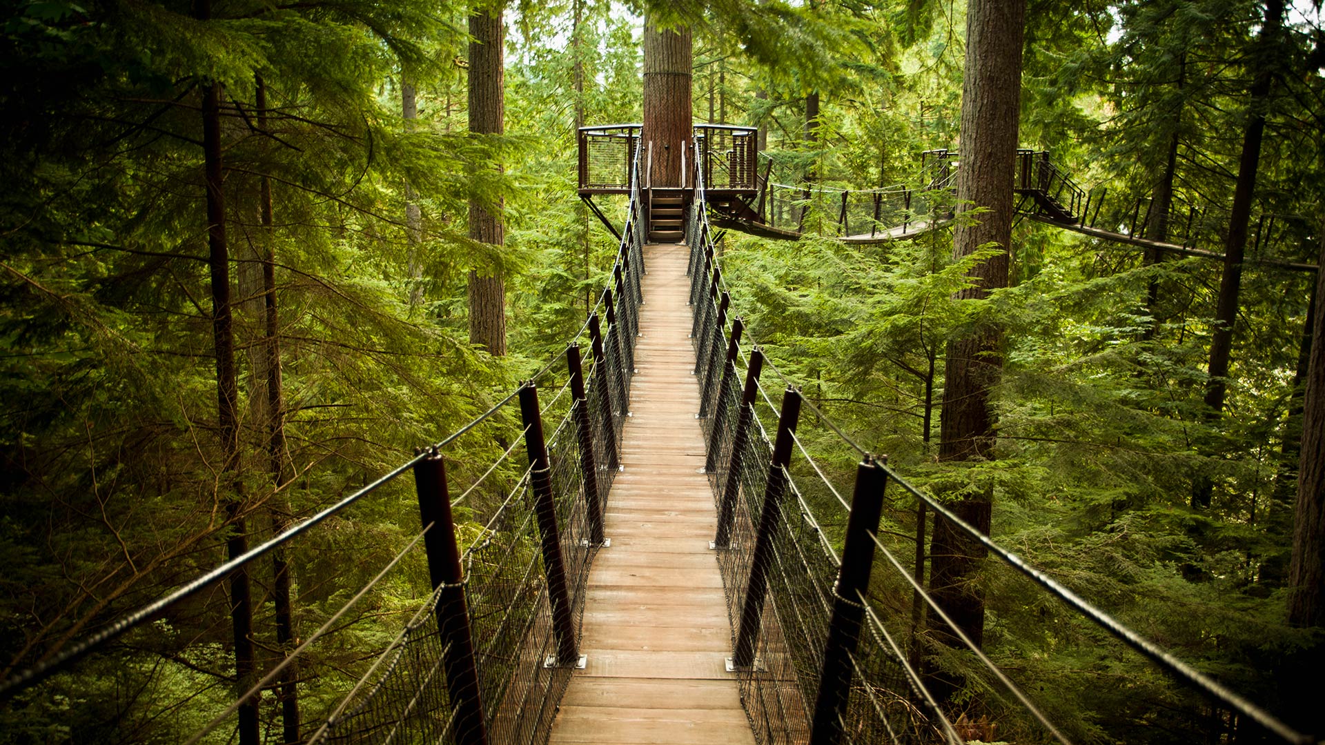 Vancouver Island: the Beauty of the Pacific
